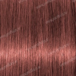 Lebel Materia PBe8   80 .