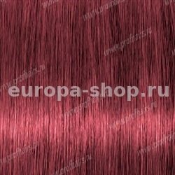 Lebel Materia P8   80 .