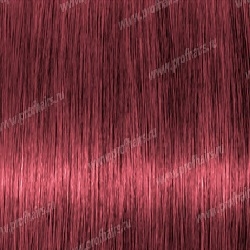 Lebel Materia P8   80 .