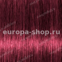 Lebel Materia P6   80 .