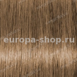 Lebel Materia Be6   80 .