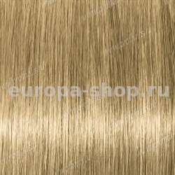 Lebel Materia B9   80 .