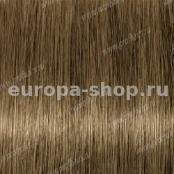 Lebel Materia B7   80 .