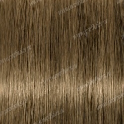 Lebel Materia B7   80 .