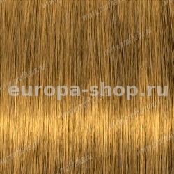 Lebel Materia G8   80 .
