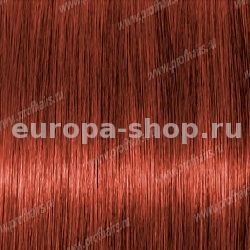 Lebel Materia K8   80 .