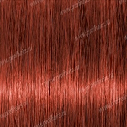 Lebel Materia K8   80 .