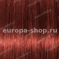 Lebel Materia K6   80 .
