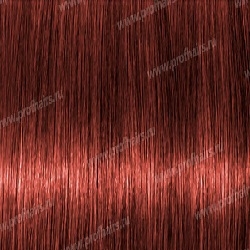Lebel Materia K6   80 .