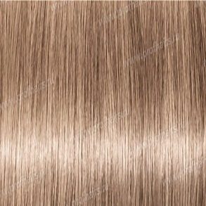Revlon Professional Revlonissimo Colorsmetique 9.21   ,    - 60 