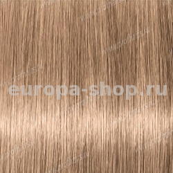 Color Sync 10WN       90 