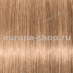 Color Sync 10G      90 