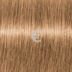 Lebel Edol Be-9 , 80
