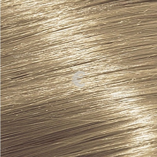 Loreal   10.31