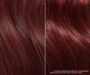Moroccanoil Color Care + 500 