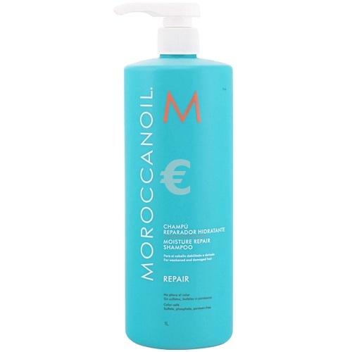 Moroccanoil   1000 