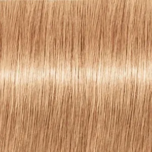 Revlon Professional Revlonissimo Color Excel Gloss 9.3   70 