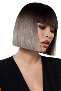 Revlon Style Masters Smooth Iron Guard      150 